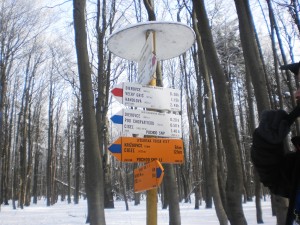 Obrázok